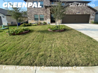 Grass Cuttingin San Antonio,78247,Lawn Care by Cantus Lawn Care, work completed in Jan , 2026