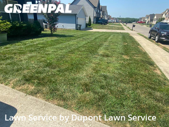 Grass Cut nearby Clarksville, TN, 