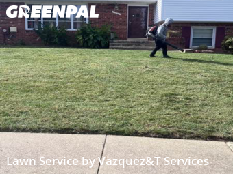 Weed Trimming in Upper Marlboro, 20774, Lawn Services by Vazquez&T Services, work completed in Nov , 2025