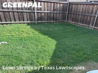 Grass Cutting nearby Allen, TX, 