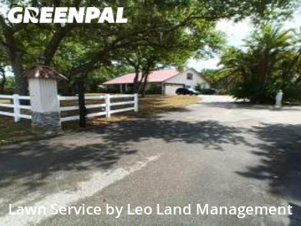 Grass Cut nearby Lakeland, FL, 