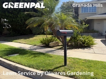 Work completed by residential-lawn-cutting-businesses-in in Los Angeles, CA