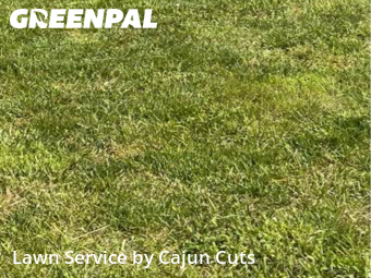 Grass Cutting nearby Murfreesboro, TN, 