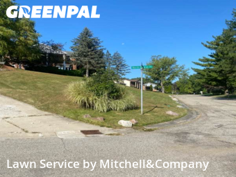 Yard Mowing in West Bloomfield Township, 48323, Backyard Mowing by Mitchell&Company, work completed in Dec , 2025