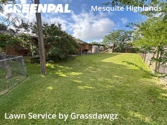 Affordable Landscaping In Mesquite,75149,Landscape Design by Grassdawgz, work completed in Jul , 2026