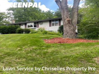 Yard Cutting nearby Roseville, MN, 