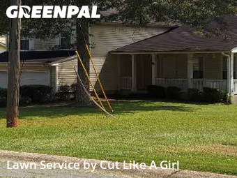 Yard Management in Douglasville, 30134, Lawn Maintenance by Cut Like A Girl , work completed in Nov , 2025