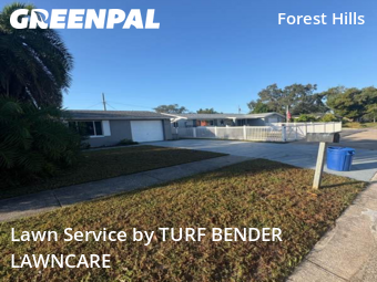 Lawn Mow nearby Holiday, FL, 