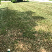 affordable-lawn-services-in-Providence-RI