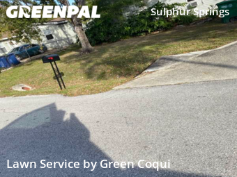 Yard Mowing nearby Tampa, FL, 