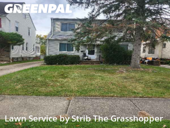 Lawn Cut nearby Garfield Heights, OH, 