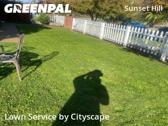 Lawn Cut nearby Seattle, WA, 