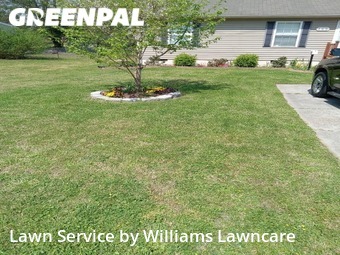 Lawn Mow nearby Newport News, VA, 