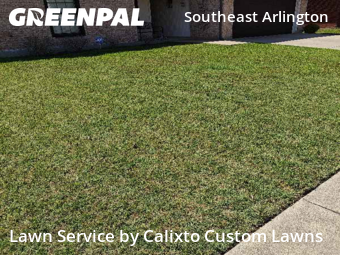 Lawn Cut nearby Arlington, TX, 