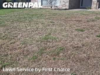 Grass Cut nearby Palm Coast, FL, 