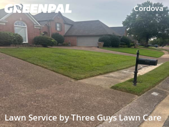 Lawn Upkeep in Cordova, 38016, Lawn Upkeep by Three Guys Lawn Care, work completed in Nov , 2025
