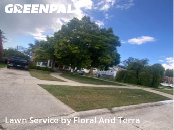 Lawn Mow nearby Eastpointe, MI, 