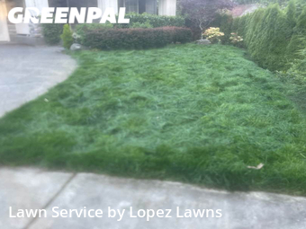 Lawn Mowing nearby Sammamish, WA, 