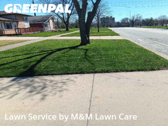 Grass Cut nearby Park Forest, IL, 