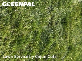 Grass Cutting nearby Rockvale, TN, 
