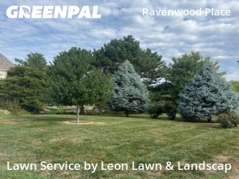 Yard Cutting nearby Olathe, KS, 