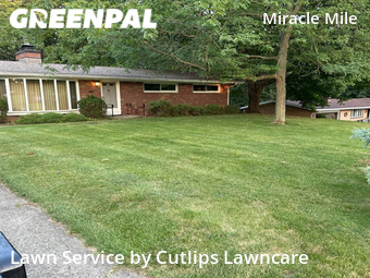 Lawn Mowing Service nearby Springfield, OH, 