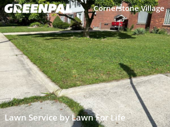 Grass Cut nearby Detroit, MI, 