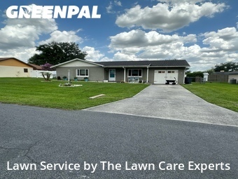 Grass Cut nearby Lakeland, FL, 