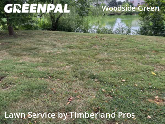 Yard Upkeep in Gahanna, 43230, Grass Services by Timberland Pros, work completed in Oct , 2025