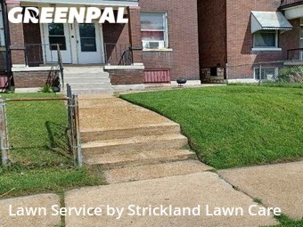 Lawn Cut nearby St. Louis, MO, 