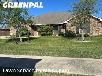 Lawn Cut nearby League City, TX, 