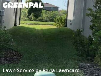 Lawn Mow nearby Tampa, FL, 