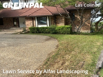 Lawn Care Servicein Irving,75062,Grass Cut by Alfas Landscaping, work completed in Jun , 2026