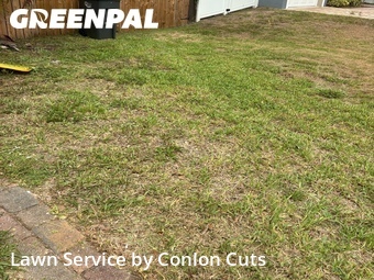 Lawn Mowing Service nearby Bradenton, FL, 