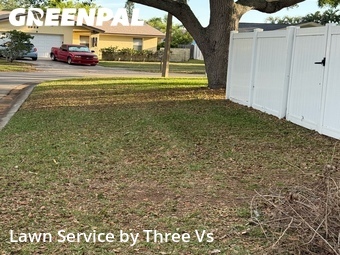 Lawn Servicein Dunedin,34698,Lawn Care by Three Vs , work completed in Jun , 2026