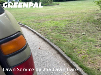 Yard Cutting nearby Anniston, AL, 