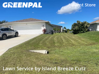 Lawn Care nearby Cape Coral, FL, 