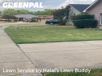 Yard Mowing nearby Cedar Hill, TX, 