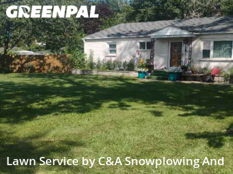Lawn Services in Mount Prospect, 60056, Yard Cutting by C&A Snowplowing And , work completed in Nov , 2025