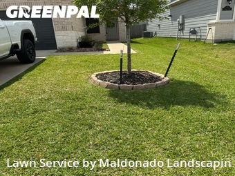 Grass Cut nearby Porter Heights, TX, 