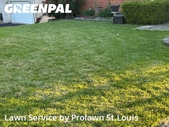 Lawn Cut nearby Maryland Heights, MO, 