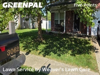 Yard Cutting nearby Indianapolis, IN, 