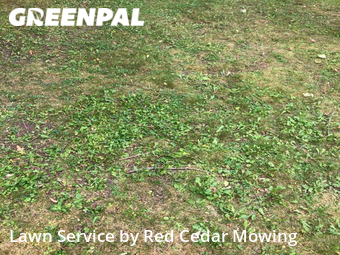 Lawn Mowing Service nearby Lansing, MI, 