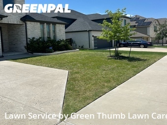 Lawn Cut nearby Frisco, TX, 