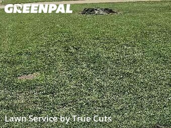 Grass Cutting nearby Del City, OK, 