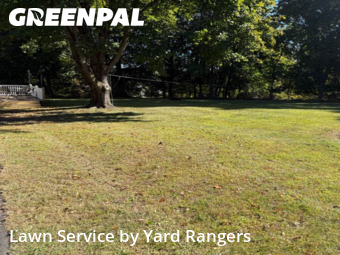 Yard Upkeep in Wallingford, 6492, Yard Work by Yard Rangers, work completed in Nov , 2025