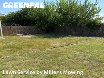 Lawn Service nearby Round Rock, TX, 