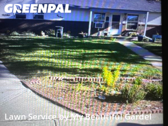 Grass Cutting nearby Westminster, CO, 