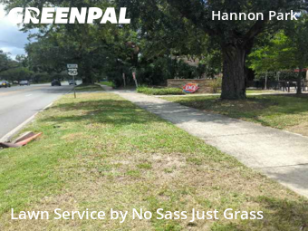 Yard Mowing nearby Mobile, AL, 