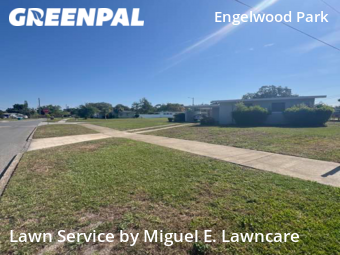 Lawn Cut nearby Orlando, FL, 